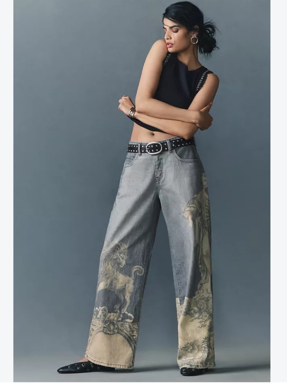 NWT Anthropologie Pilcro Low-Rise Wide-Leg
Jeans Zbo Lion Unicorn Roman